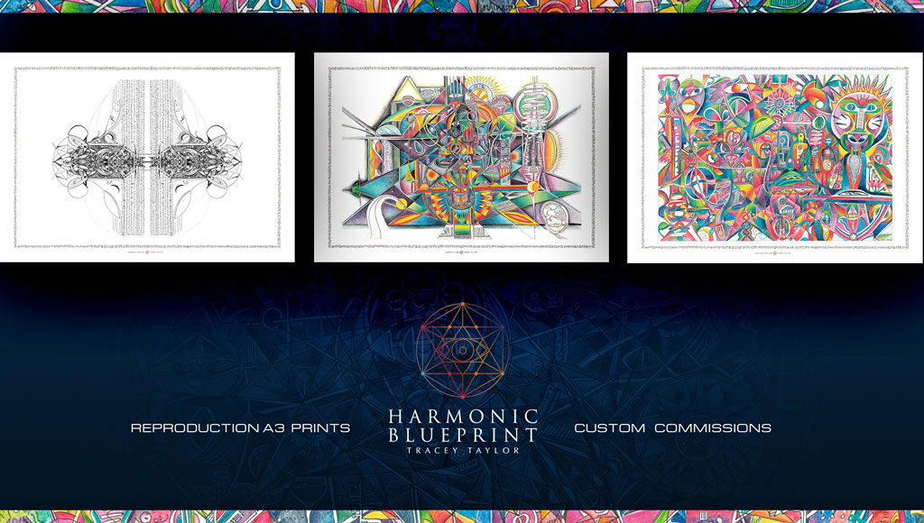 CONTACT HARMONIC BLUEPRINT